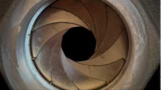 Introduction to the IRISvalve (TM)