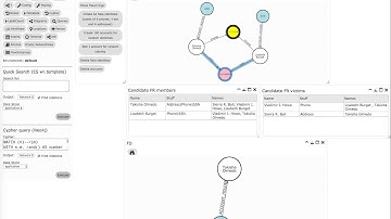 Fraud ring detection and vizualisation with Neo4j and Graphileon Interactor
