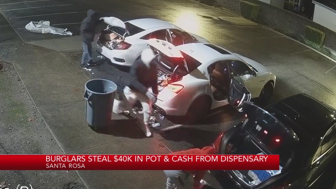 Burglars steal $40K in pot and cash from dispensary