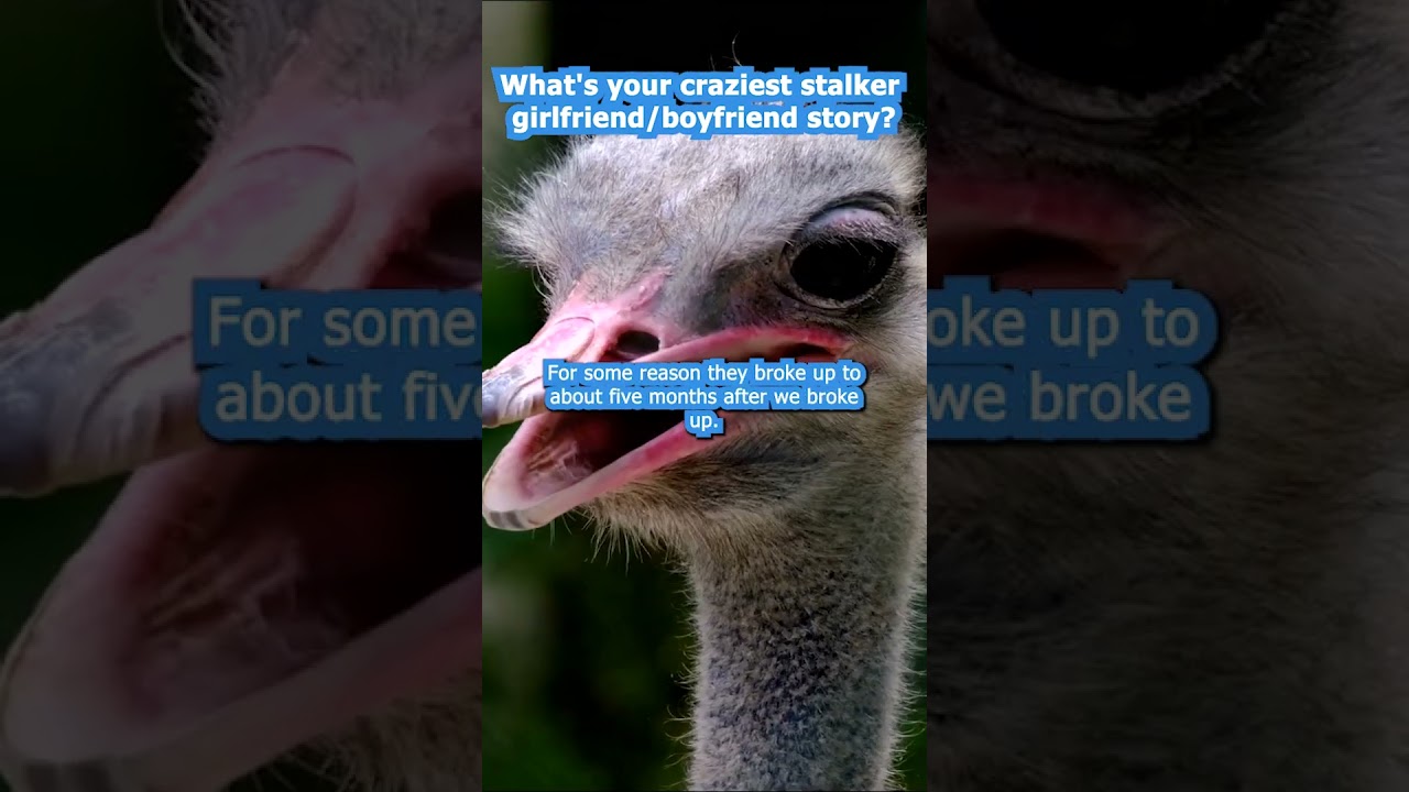 What's your craziest stalker girlfriend/boyfriend story? #reddit #askreddit #storytime #story