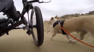 An Awesome Ride! by Recumbent Trike Adventures & My Dog Noah 866 views 8 years ago 3 minutes, 10 seconds