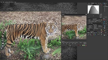 Qimage Ultimate - Using Levels