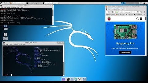 How to Update and Upgrade Kali Linux 2020.1