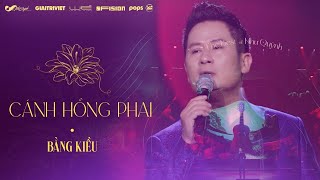 CÁNH HỒNG PHAI l ST: Dương Khắc Linh l Bằng Kiều