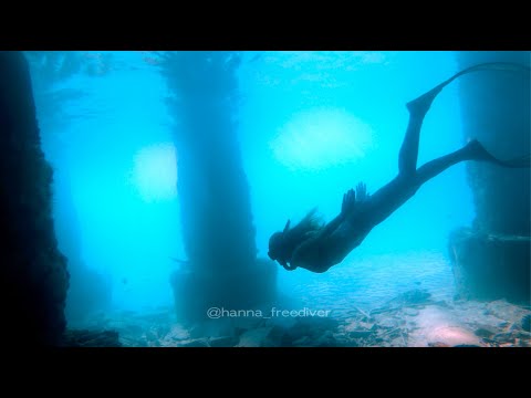 Dreamland -Freediving Pebbles Barbados