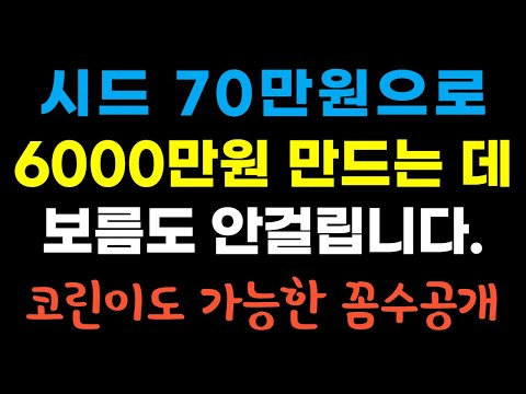 비트코인 시드 불리기 꼼수 공개 코린이도 쌉가능한 방법ㅋㅋ 영상 보시면 납득할겁니다 주멕스 비트코인 초보자 사냥터 