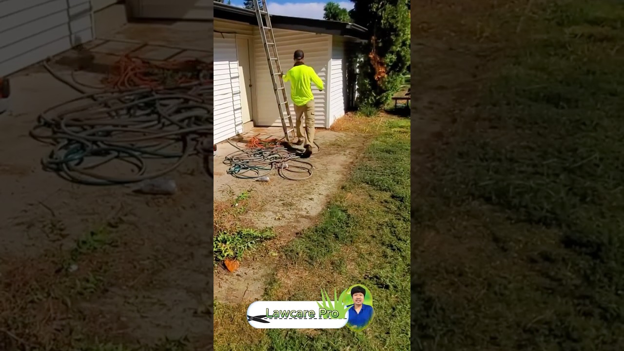P1 short video of entertaining lawn mowing 