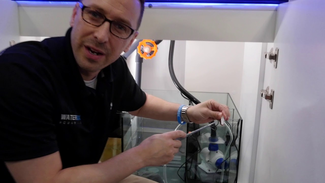 Installing a XP Aqua ATO System on a Waterbox Platinum Reef Aquarium YouTube