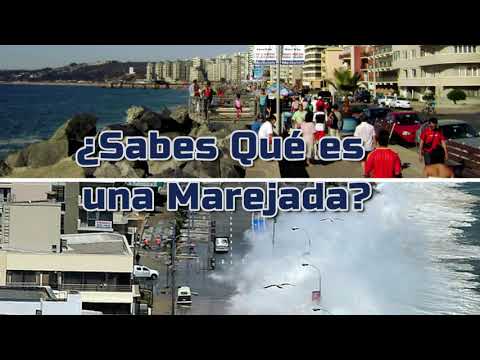 Video: Marejada: qué es, causas y consecuencias