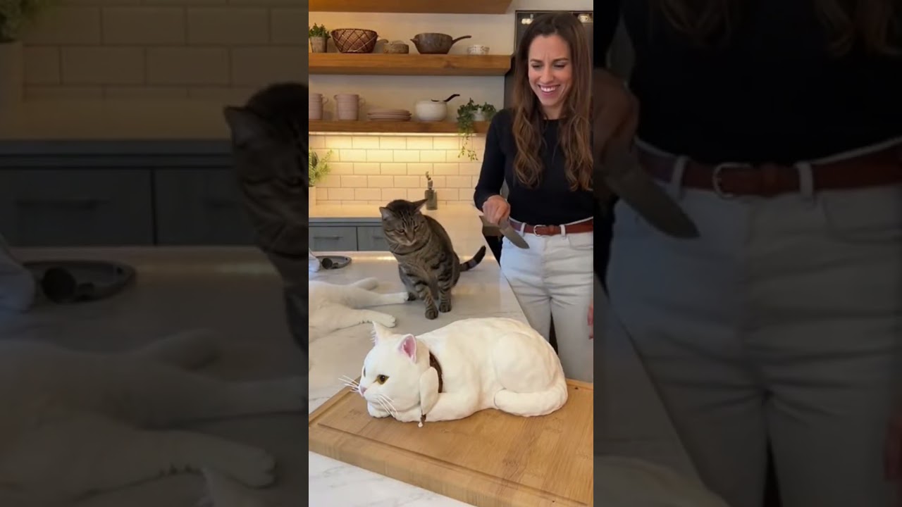 “I’m not saying it’s alive, but… it’s alive 😹”