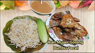 MUJAIR GORENG DAN BUMBU PECEL