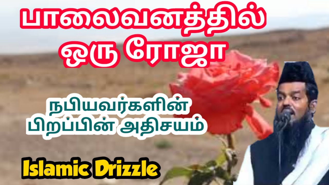 பாலைவனத்து ரோஜா | நபியவர்களின் பிறப்பின் அதிசயம் | சதீதுத்தீன் பாகவி ஹஜ்ரத்|Tamil bayan| ميلاد النبي