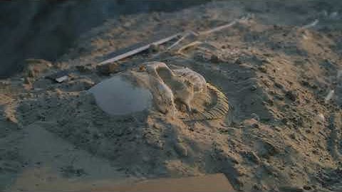 Top 5 Archaeological Discoveries of 2024!