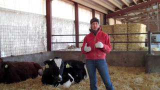 First Defense: How It's Made