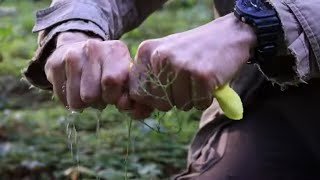 Как добыть воду в лесу