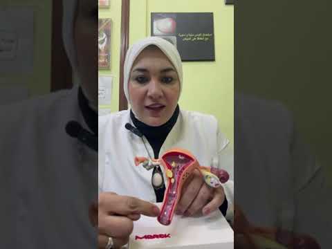 ازاي تحطي الكريم او اللبوسة المهبلية د اسماء عبد الفتاح استشاري جراحة النساء التجميل النسائي