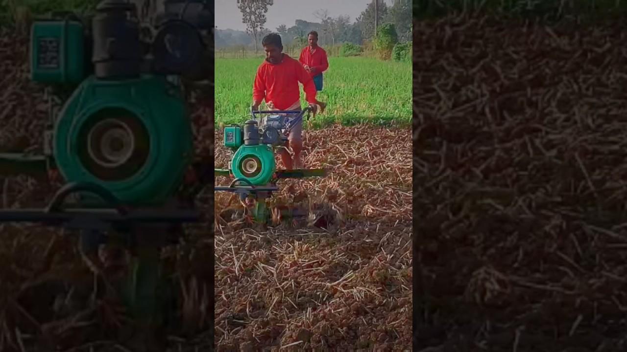 జై కిసాన్ జై జవాన్