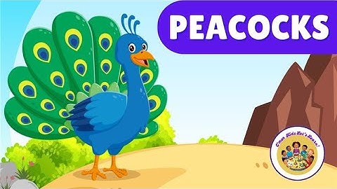 All About Peacocks | Fun Facts for Kids | Com
