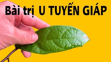 Bài trị U Tuyến Giáp. PHAN HẢI Channel 