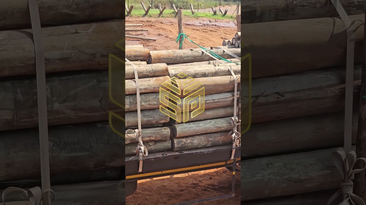 ‼Exceptional Quality Right Here!👌👇 