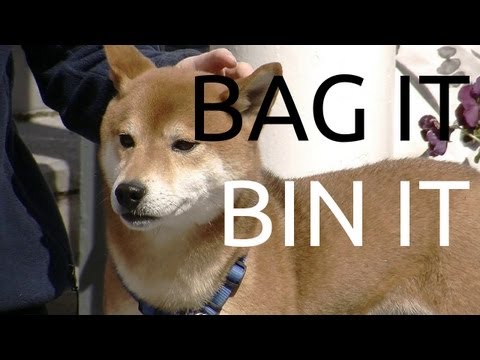 Stop Limerick Dog Litter - Bag It Bin It