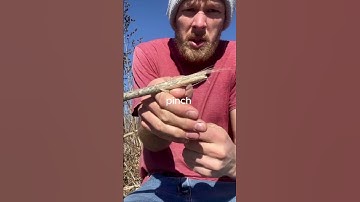 How To Make Natural Reverse Twist Cordage #survival #bushcrafters #outdoorsurvival