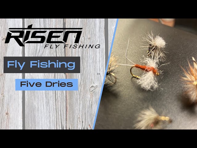 The 5 Flies You Should Always Have In Your Fly Box (and How to