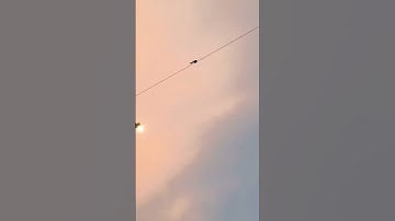 IIT DHARWAD CAMPUS EDITs ARE BACK!!! #iitmotivation #iitjee