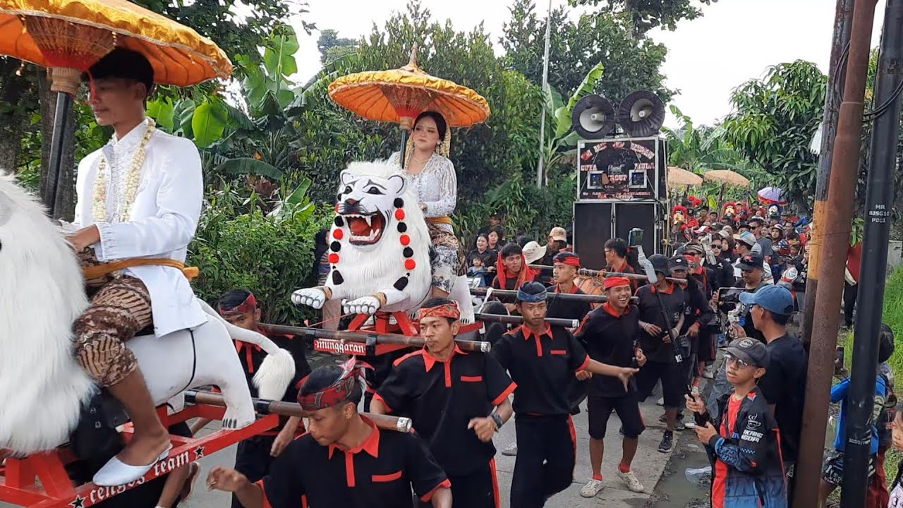 Ngarak pengantin baru naik binatang buas cengos team | cuta muda bojongsoang bandung