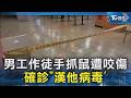 男工作徒手抓鼠遭咬傷 確診｢漢他病毒｣｜TVBS新聞 @TVBSNEWS02