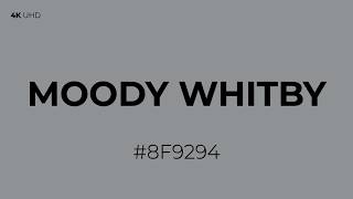 Moody Whitby Screen - High Definition Color Reference - (#8F9294) - RGB(143, 146, 148)