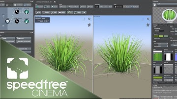 Lemongrass | Speedtree Cinema 9 Tutorial