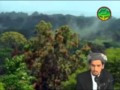 ترانه قاری مبشر در مورد ما عاشقان دین Qari Shirullah ترانه قاری مبشر در مورد ما عاشقان دین Qari Shirullah