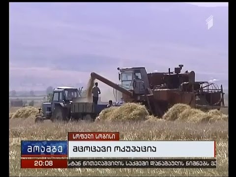 5 საათი მოსავლის აღებისთვის - სობისში ფერმერებს მოსავლის აღების უფლება მისცეს