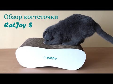 Обзор Когтеточки 'CatJoy