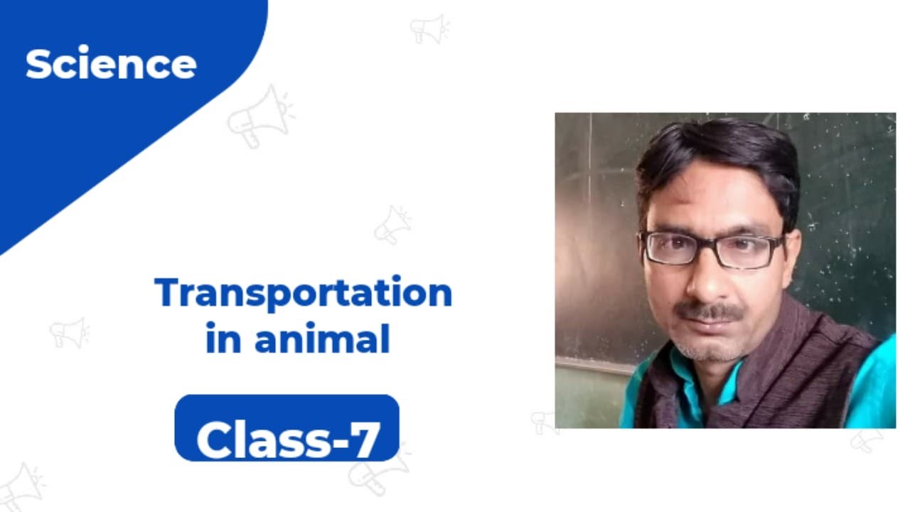 Class 7 Science Ch 11 |Transportation in Animals & Plants Full Chapter ...