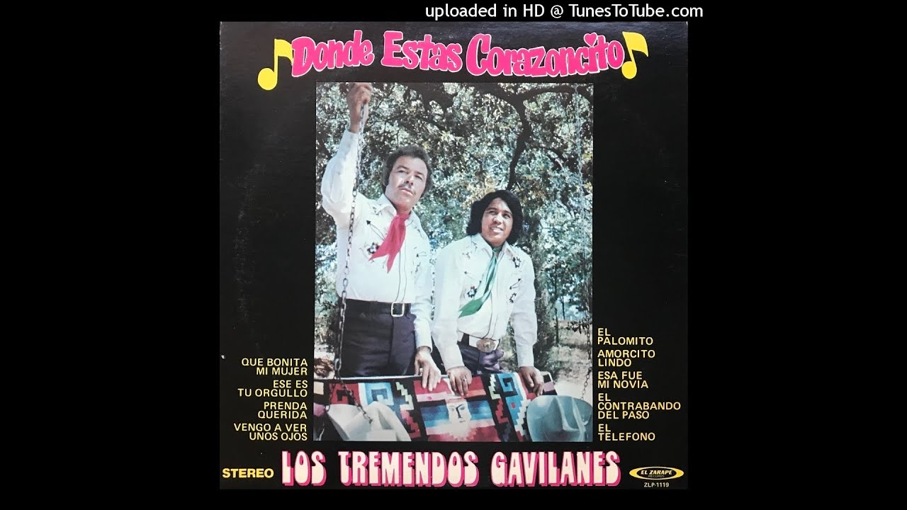 Los Tremendos Gavilanes - Donde Estas Coranzoncito LP
