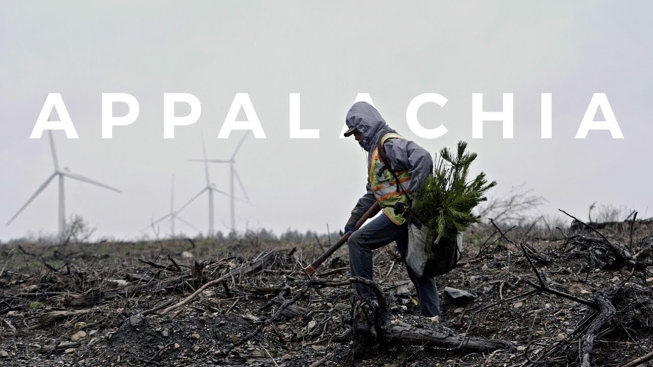 Restoring Legacy Mined Lands in Appalachia | One Tree Planted