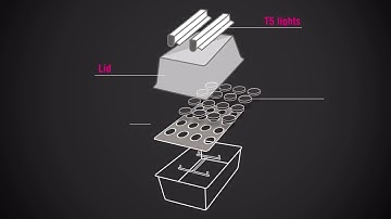[TheHydroponicsStore] X-Stream Aeroponic Propagator