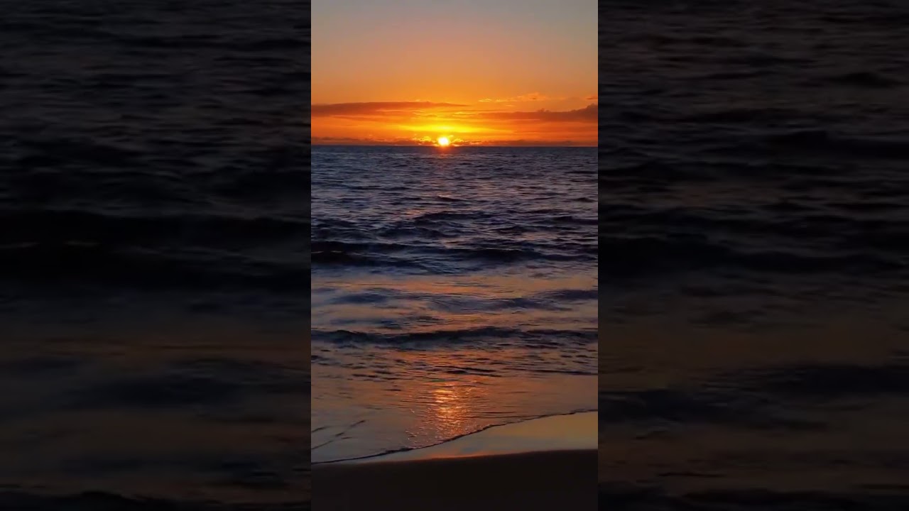 musik sealand in mass