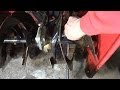 How To Fix Snow Blower With Auger/Blades That Won't Turn