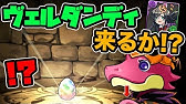 パズドラ ハロウィンガチャ 簡単なやつ Youtube