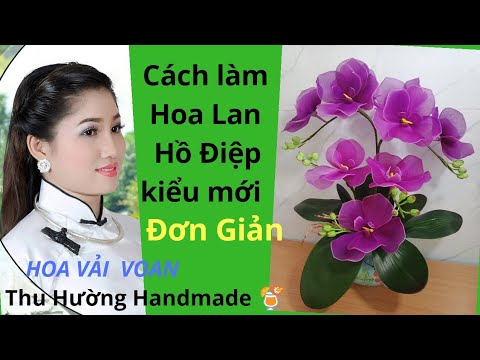 Hoa lan Hồ Điệp - cách làm hoa voan đơn giản | Thu Hường Handmade | Foci