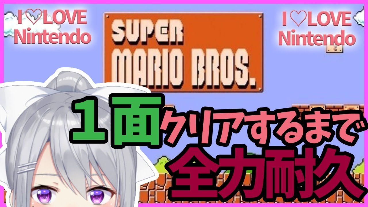 Super Mario Bros.] I Love It So Much I'm Doing a Level 1 Endurance