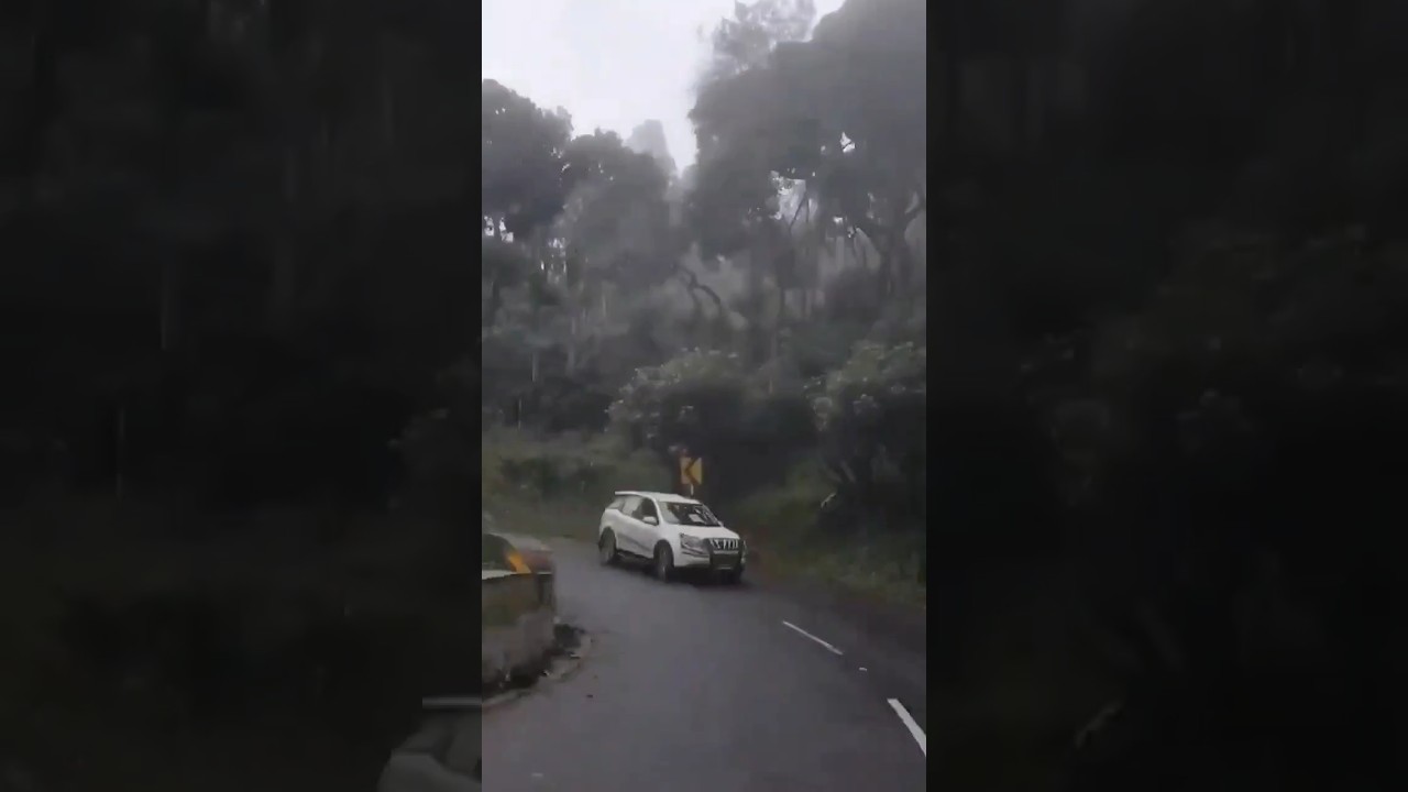 ஏற்காடு ❤️🥰 #shorts #trending #தமிழ் #yercaud #2023 #tribalvlogsyercaud @MessiReacts999