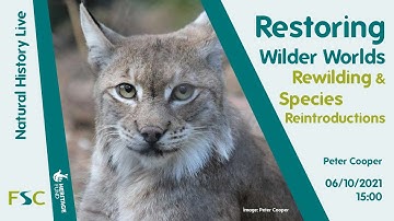 Restoring Wilder Worlds: Rewilding & Species Reintroductions