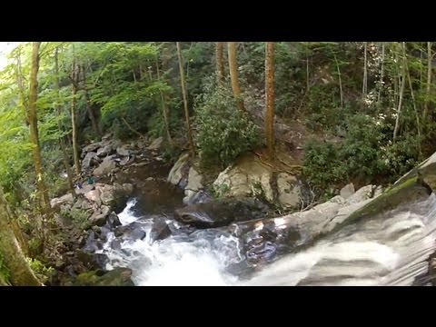 Wideo: Park Narodowy Great Smoky Mountains: Kompletny przewodnik
