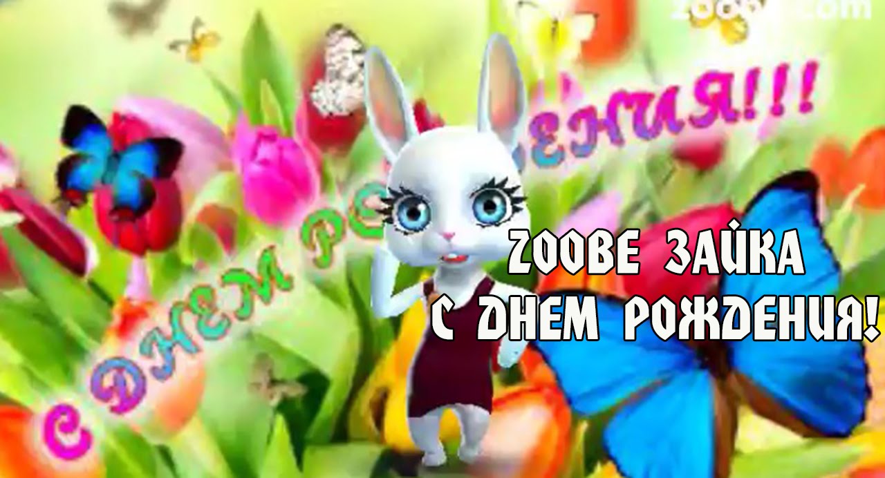 Zoobie Зайка Поздравление С Днем Рождения