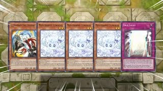 WHEN KAIBA OPENING HAND WITH 3 FUWALOS 