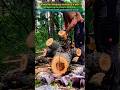 Chainsaw Splitting Oddly Shaped Log Revealing Beautiful Grain